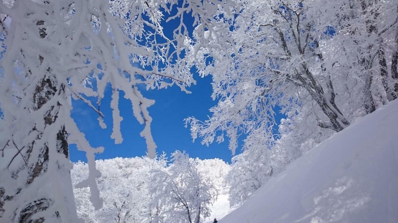 Nozawa Dream Central Zewnętrze zdjęcie
