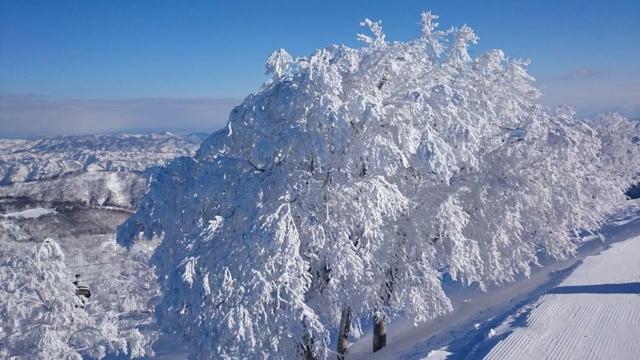 Nozawa Dream Central Zewnętrze zdjęcie