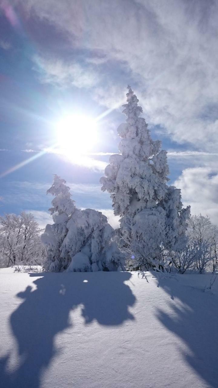 Nozawa Dream Central Zewnętrze zdjęcie