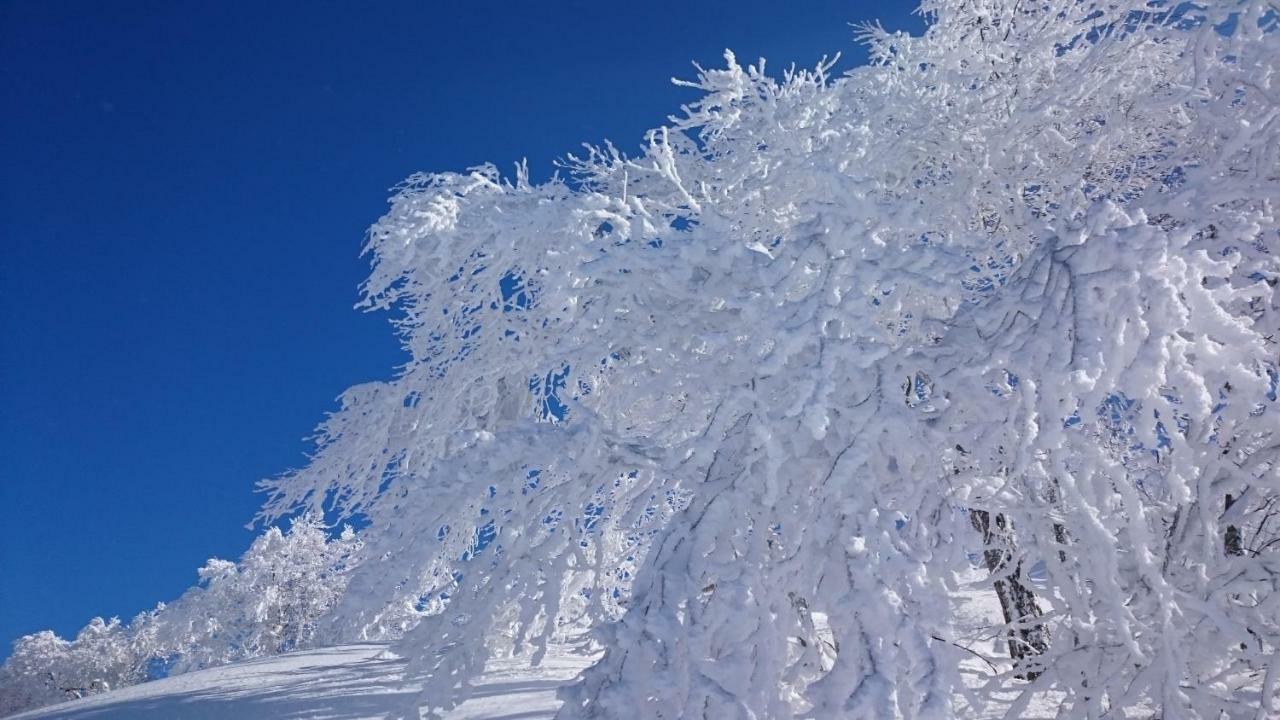 Nozawa Dream Central Zewnętrze zdjęcie